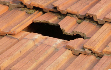 roof repair Clee St Margaret, Shropshire