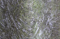 Clee St Margaret fibreglass roof work